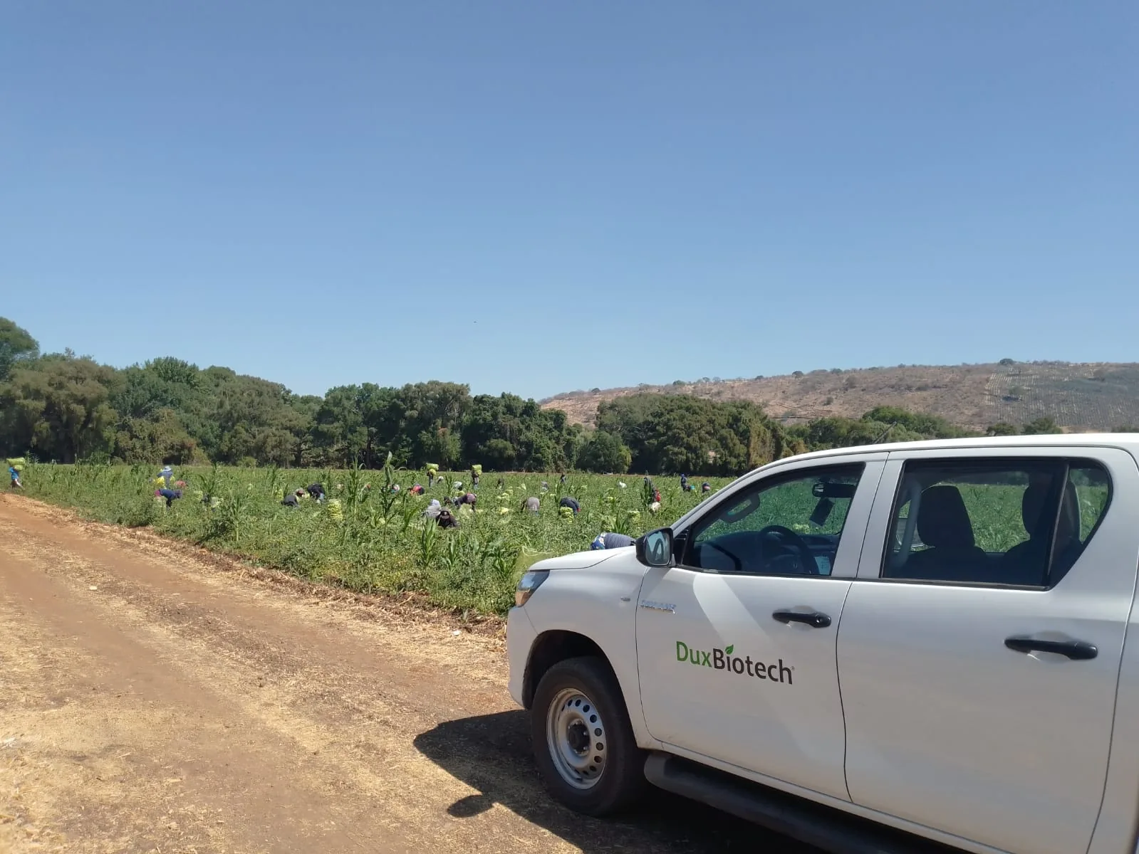 Equipo de DuxBiotech en instalaciones agrícolas y corporativas.